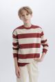 Erkek Çocuk Oversize Geniş Kalıp Bisiklet Yaka Çizgili Sweatshirt