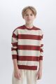 Erkek Çocuk Oversize Geniş Kalıp Bisiklet Yaka Çizgili Sweatshirt