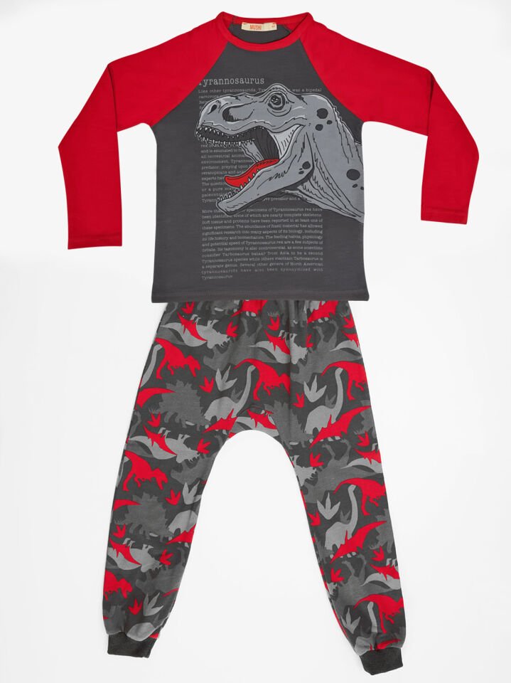 Tyranno Erkek Çocuk T-shirt Pantolon Takım 5 Y - Gri, Kırmızı