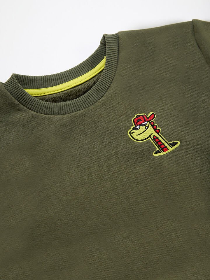 Dino Erkek Çocuk Haki Sweatshirt 5 Y - Haki