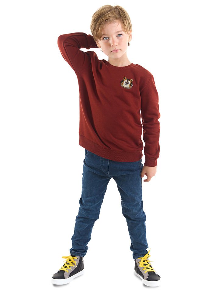 Kaplan Erkek Çocuk Sweatshirt