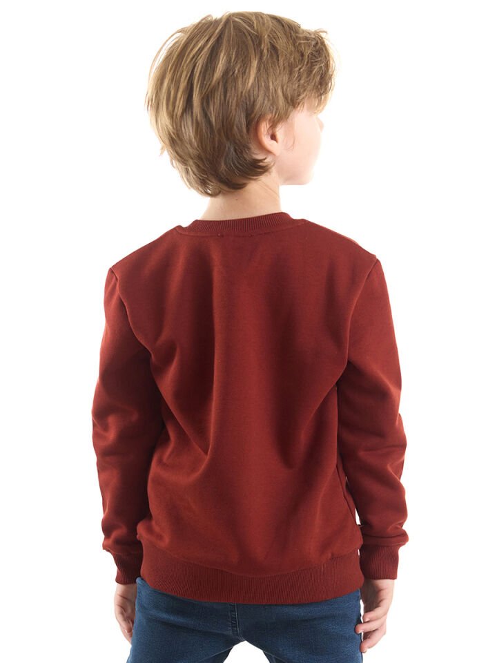 Kaplan Erkek Çocuk Sweatshirt