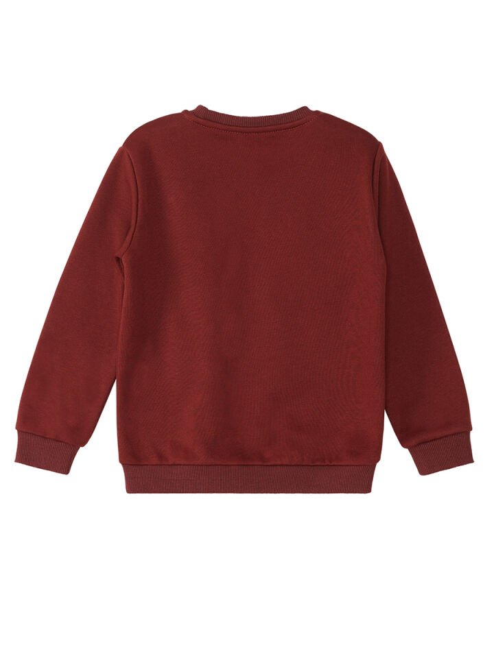 Kaplan Erkek Çocuk Sweatshirt