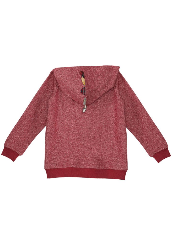 Ejderha Erkek Çocuk Kapişonlu Sweatshirt 5 Y - Bordo