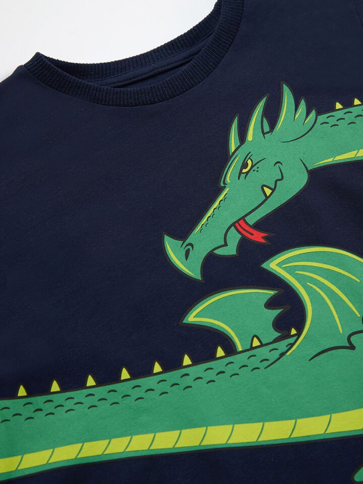 Ejderha Erkek Çocuk T-shirt Pantolon Takım 10 Y - Yeşil, Lacivert