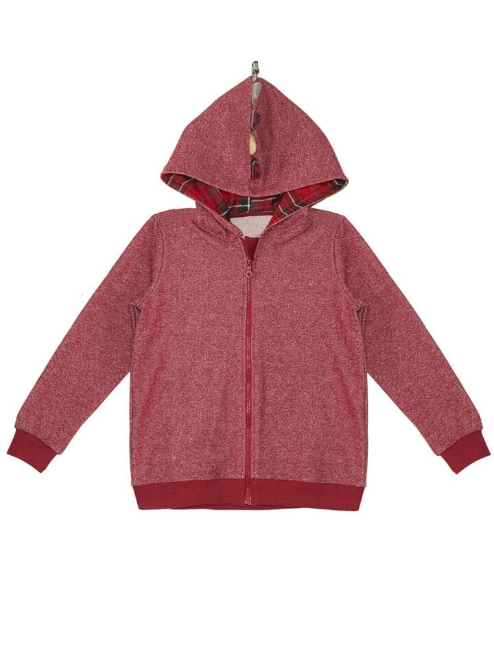 Ejderha Erkek Çocuk Kapişonlu Sweatshirt 4 Y - Bordo