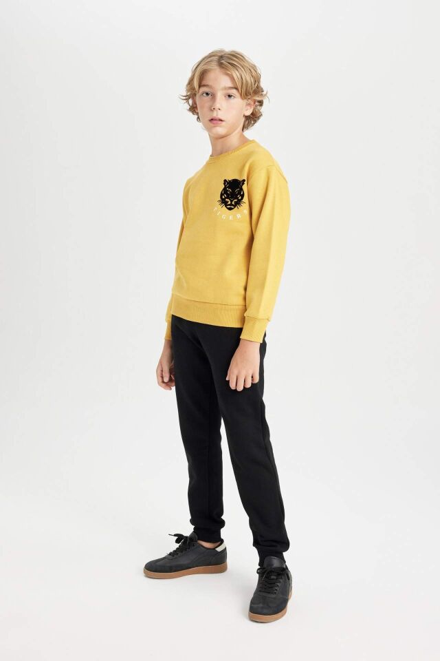 Erkek Çocuk Sarı Bisiklet Yaka Kaplan Baskılı Sweatshirt