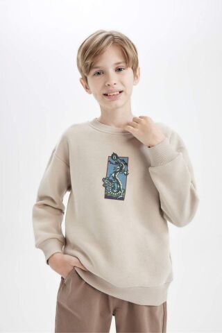 Erkek Çocuk Oversize Geniş Kalıp Bisiklet Yaka Baskılı Sweatshirt