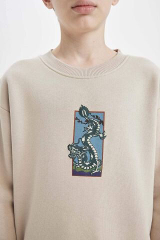 Erkek Çocuk Oversize Geniş Kalıp Bisiklet Yaka Baskılı Sweatshirt