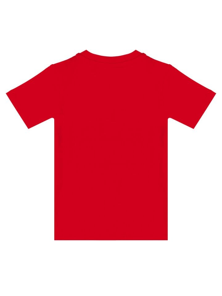 Dino Kamuflaj Erkek Çocuk T-shirt Kapri Şort Takım