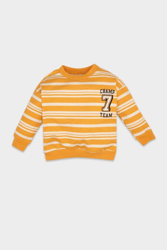 Erkek Bebek Bisiklet Yaka Çizgili İçi Yumuşak Tüylü Sweatshirt