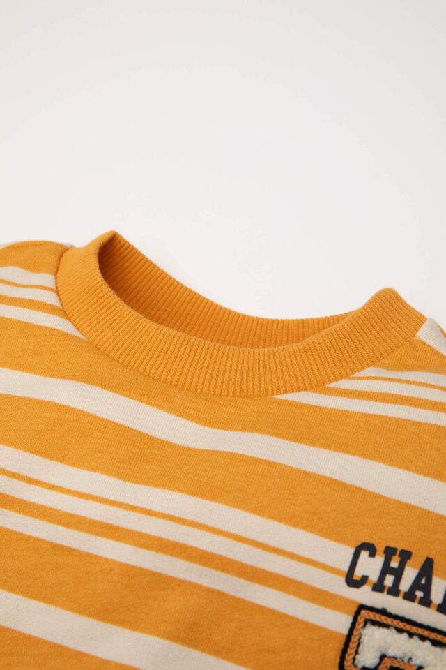 Erkek Bebek Bisiklet Yaka Çizgili İçi Yumuşak Tüylü Sweatshirt