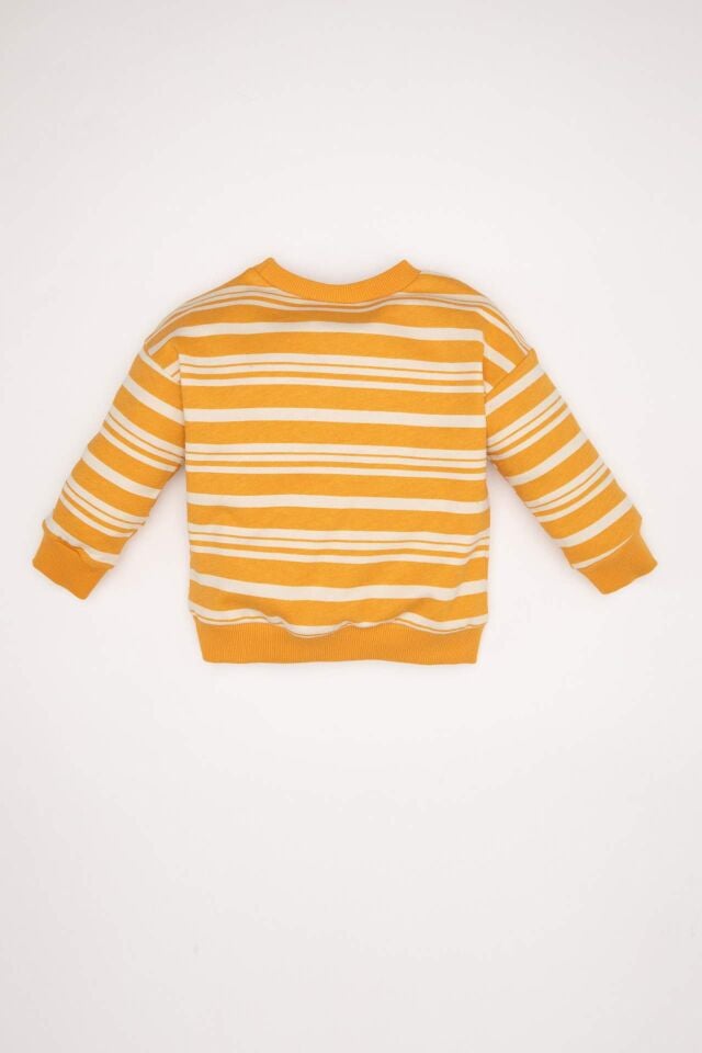 Erkek Bebek Bisiklet Yaka Çizgili İçi Yumuşak Tüylü Sweatshirt