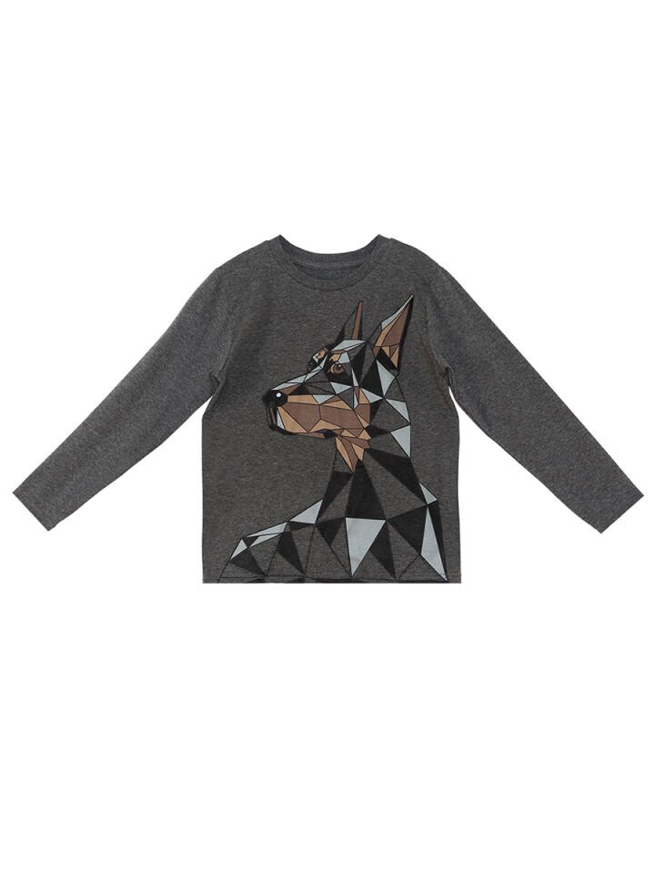 Doberman Erkek Çocuk T-shirt Pantolon Takım