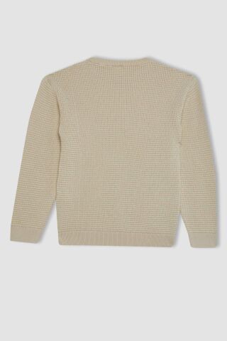 Erkek Çocuk Bisiklet Yaka Basic Düz Triko Kazak