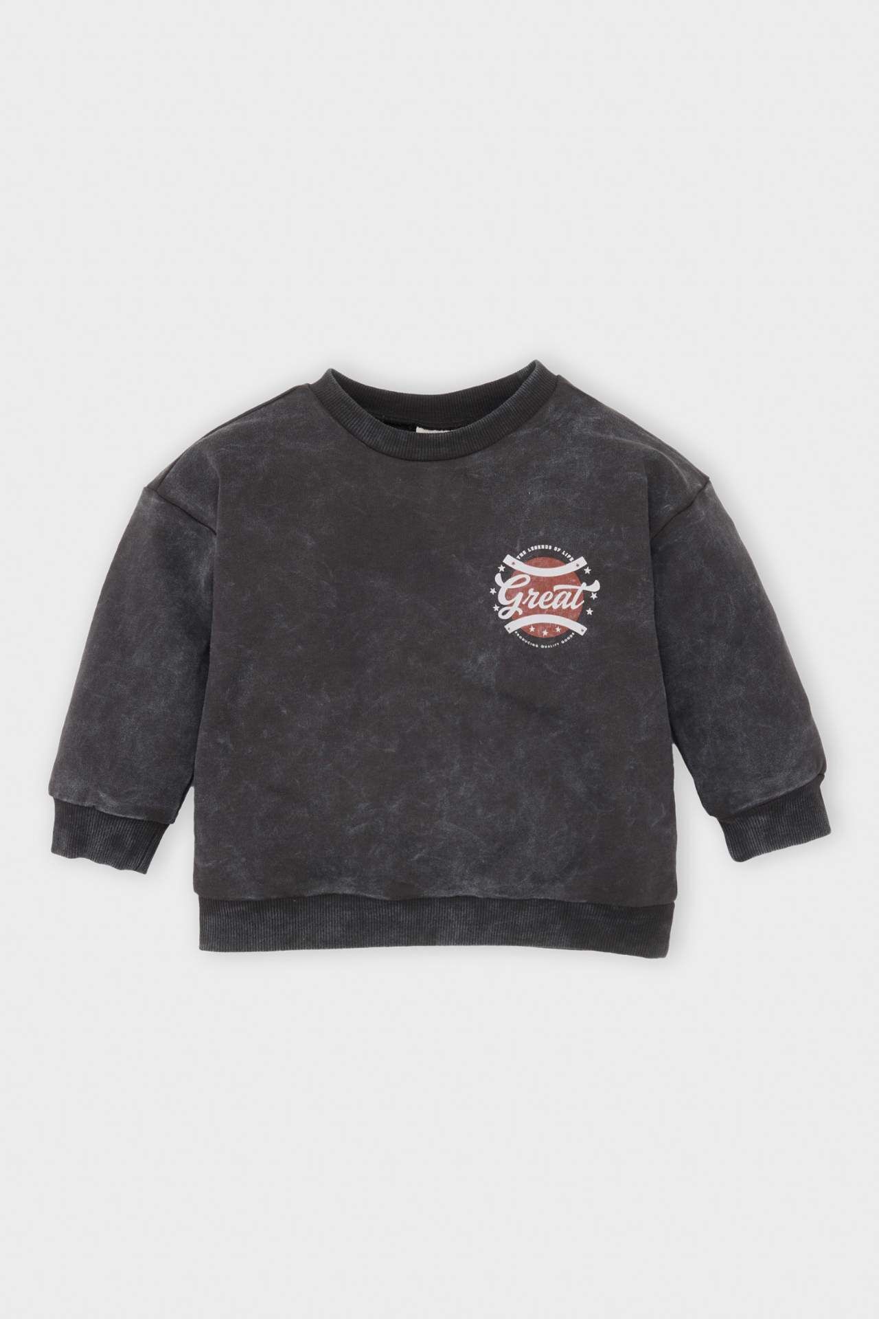 Erkek Bebek Bisiklet Yaka Baskılı Yıkamalı Soluk Efektli Sweatshirt 24-36 Ay (98 cm)