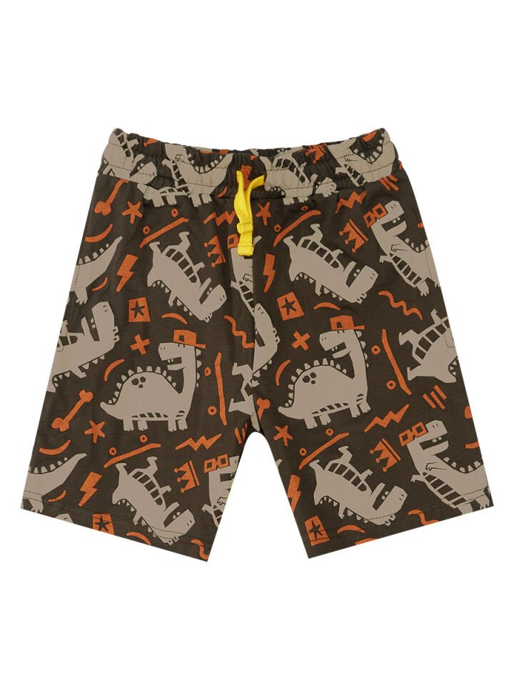 Kaykay Dino Erkek Çocuk T-shirt Şort Takım 6 Y - Koyu kahve