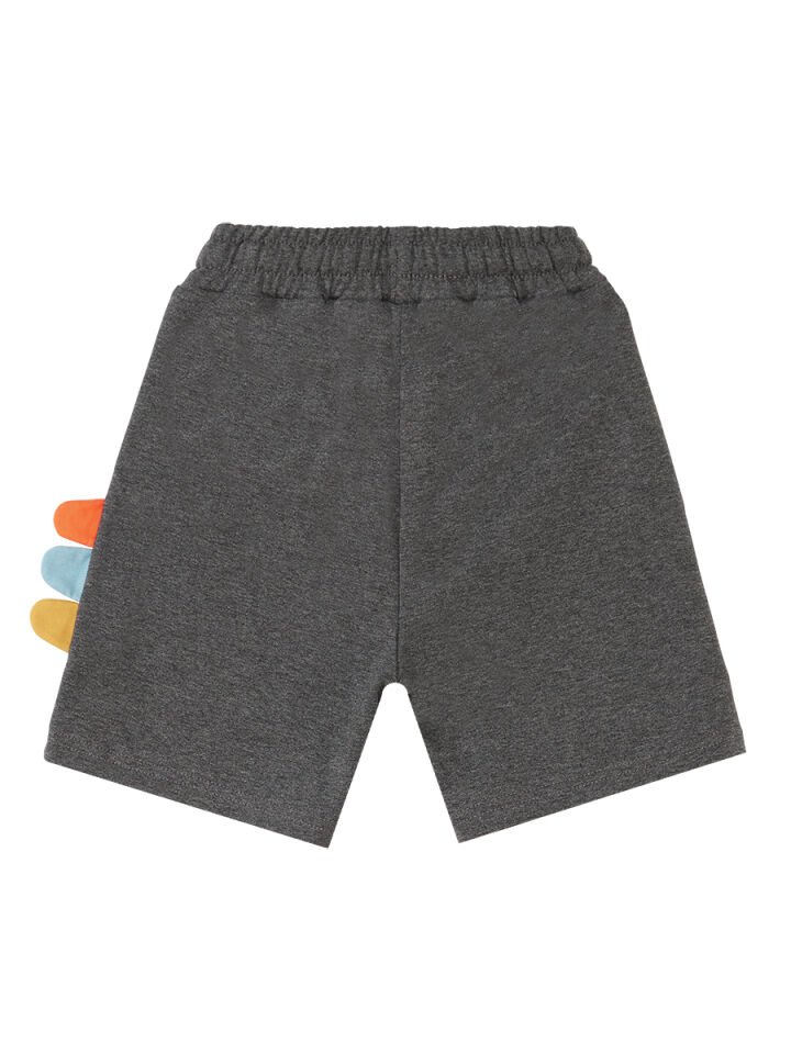 Rawr Dino Erkek Çocuk T-shirt Şort Takım