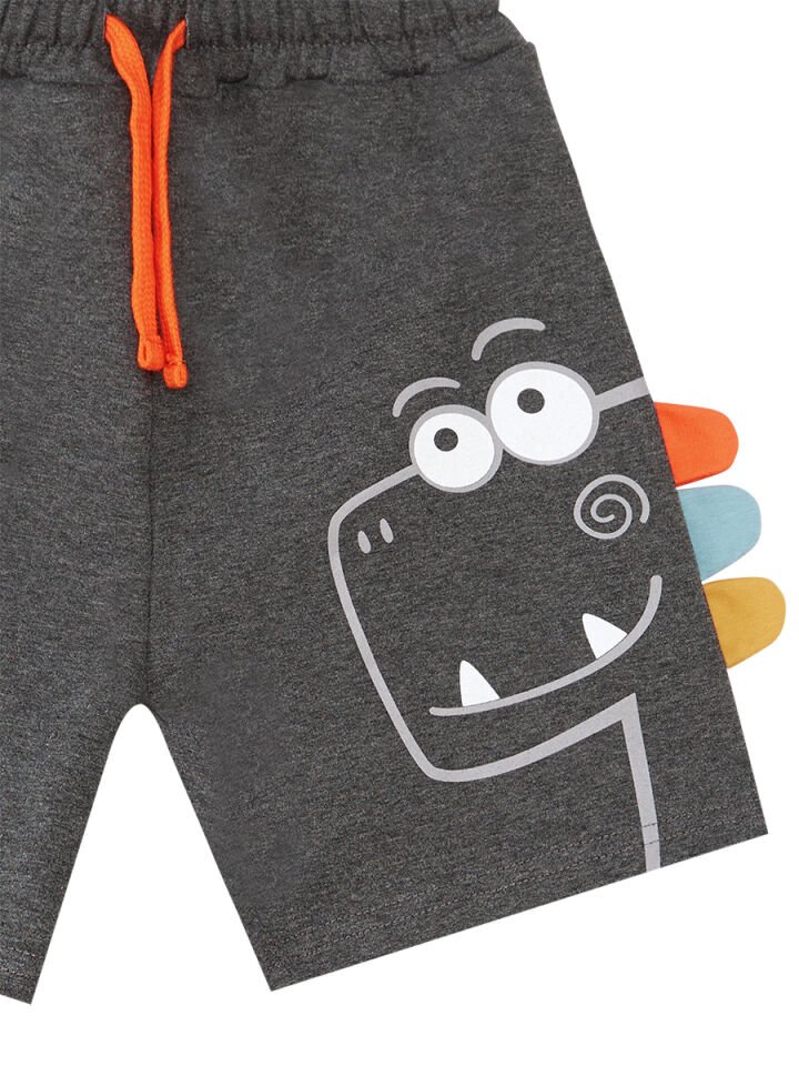 Rawr Dino Erkek Çocuk T-shirt Şort Takım 5 Y - Gri