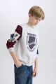 Erkek Çocuk Harry Potter Regular Fit Bisiklet Yaka Sweatshirt