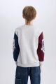Erkek Çocuk Harry Potter Regular Fit Bisiklet Yaka Sweatshirt