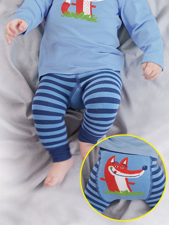 Tilki Erkek Bebek Örme Mavi Tayt-Pantolon 12-18 M - Mavi, Lacivert