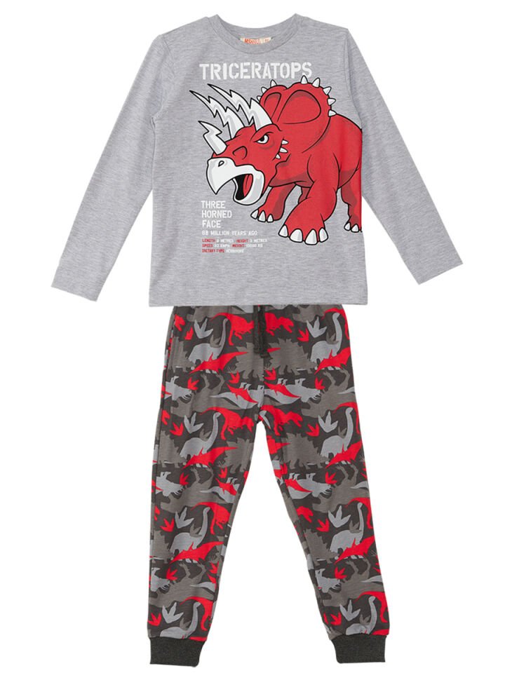Triceratops Erkek Çocuk T-shirt Pantolon Takım 5 Y - Gri