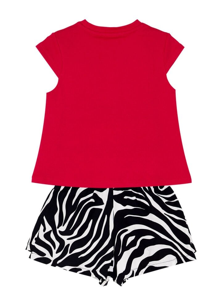Balerin Zebra Kız Çocuk T-Shirt Şort Takım 4 Y