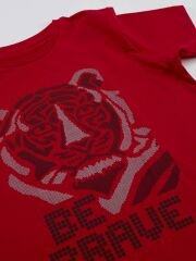 Cesur Kaplan Erkek Çocuk T-Shirt Şort Takım 4 Y - Kırmızı, Gri