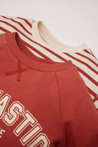 Erkek Bebek Bisiklet Yaka Baskılı İçi Yumuşak Tüylü  2'li Sweatshirt