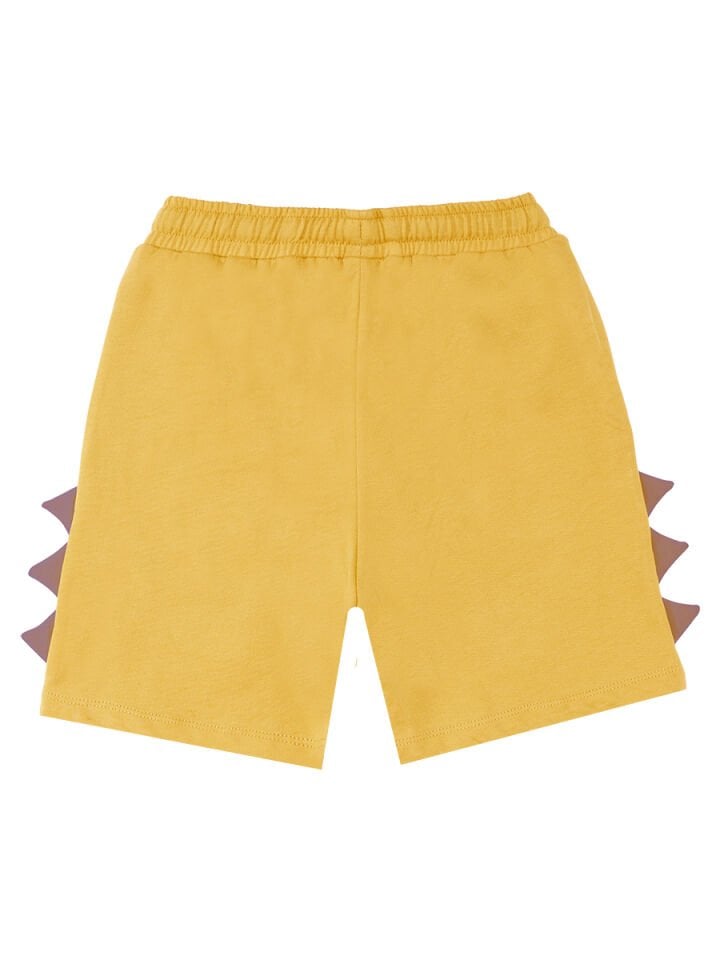 Oyuncu Dino Erkek Çocuk T-shirt Şort Takım