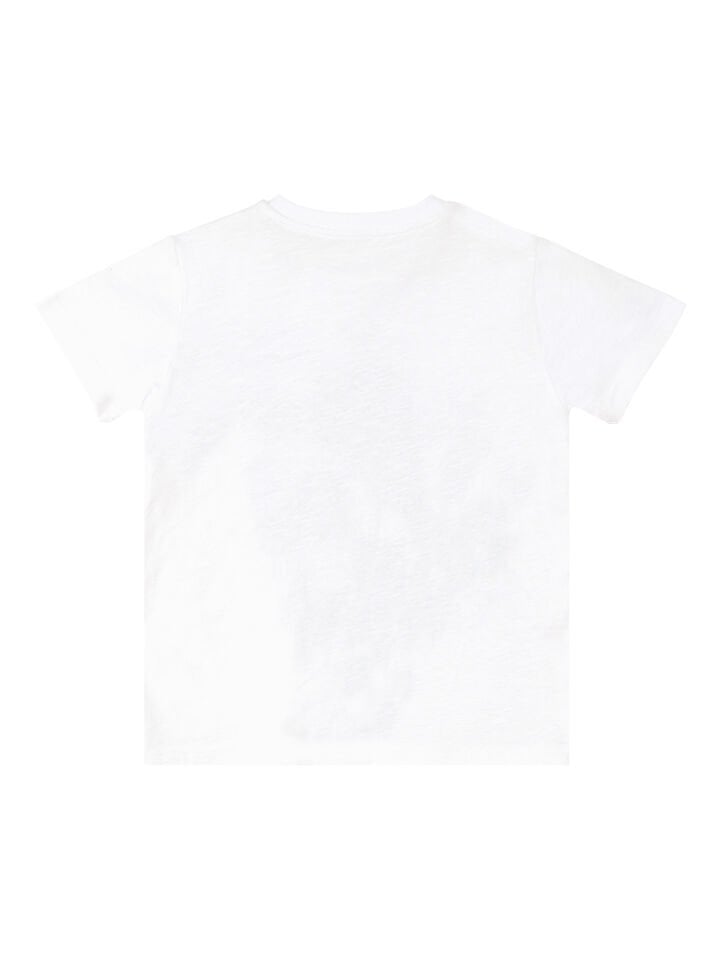 Timsah Erkek Çocuk T-shirt Gabardin Şort Takım