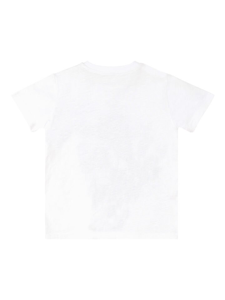 Timsah Erkek Çocuk T-shirt Gabardin Şort Takım 4 Y - Mavi, Beyaz