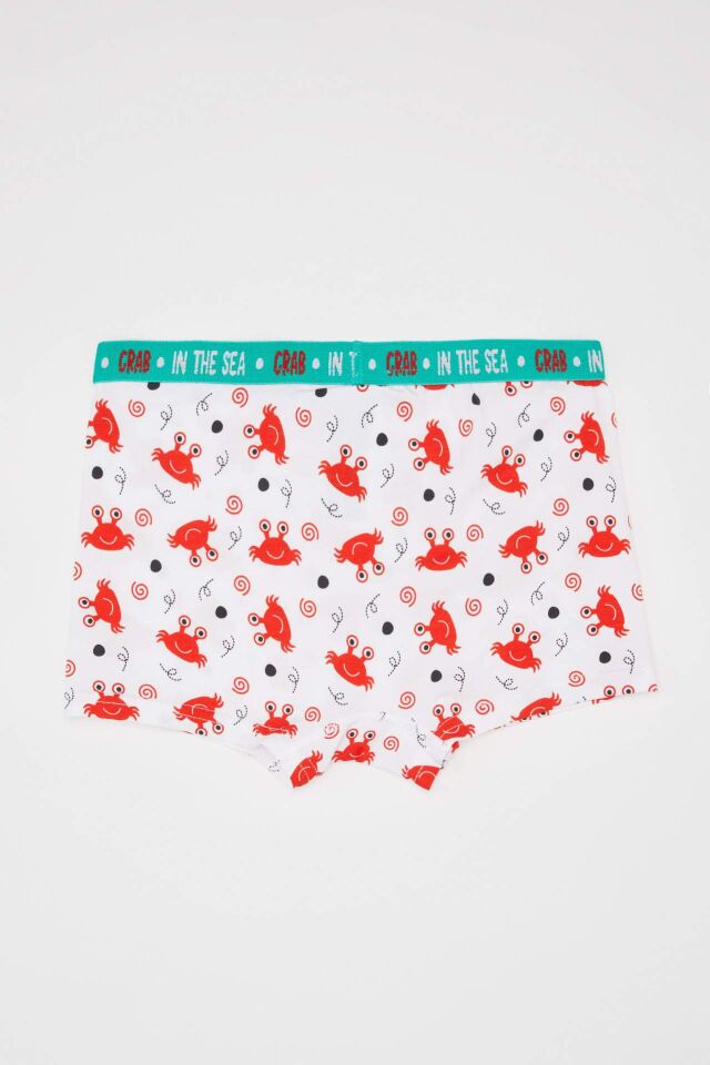 Erkek Çocuk Desenli 3'lü Boxer