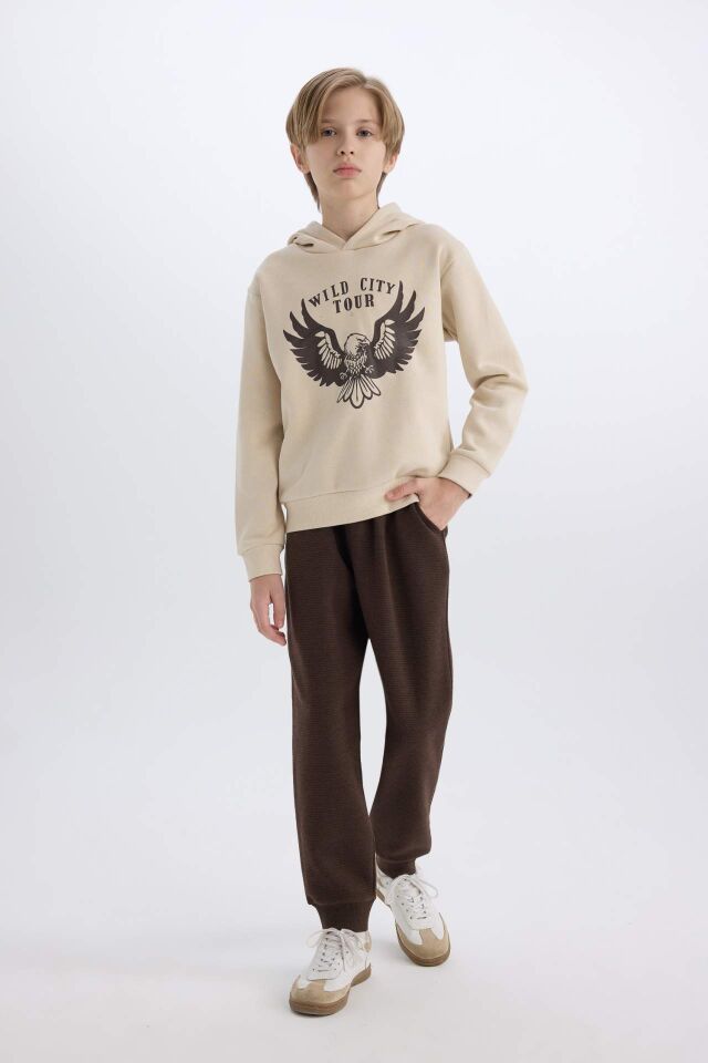 Erkek Çocuk 2'li Takım Kapüşonlu Baskılı Kalın Sweatshirt Beli Lastikli Eşofman Altı