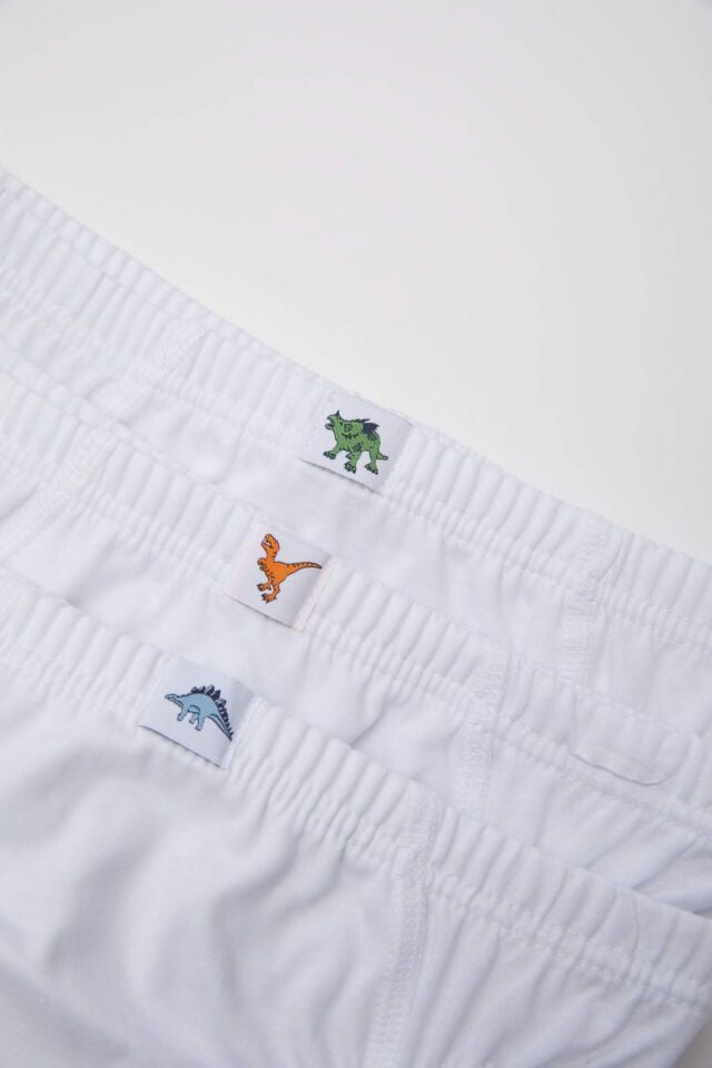 Erkek Çocuk 3'lü Slip Külot