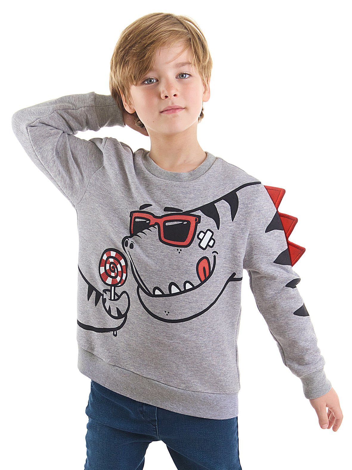Şekerci Dinozor Erkek Çocuk Gri Sweatshirt