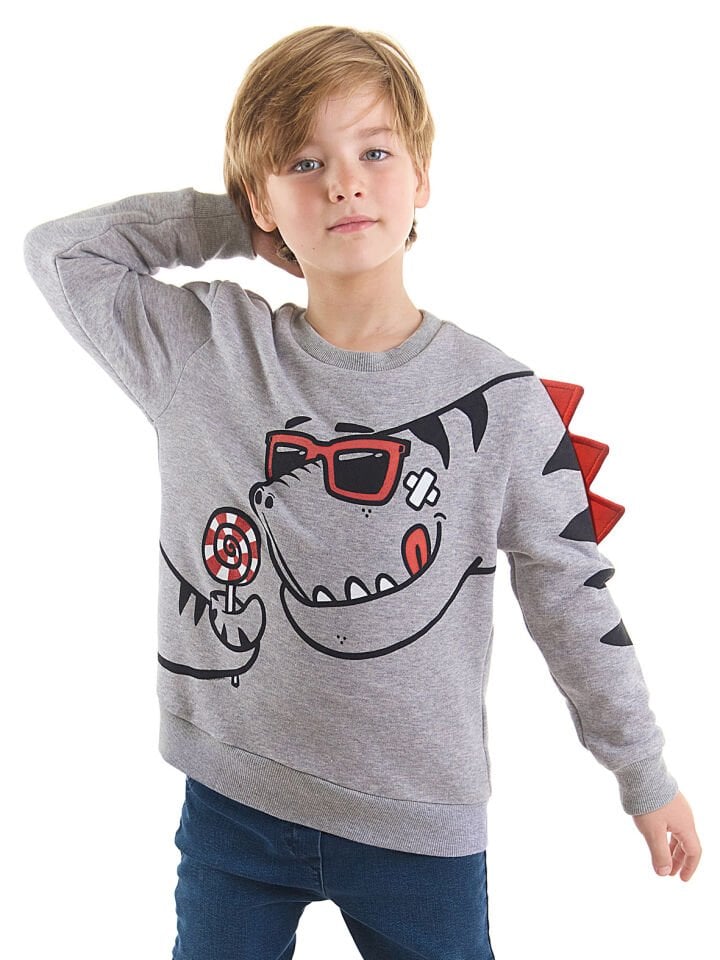 Şekerci Dinozor Erkek Çocuk Gri Sweatshirt