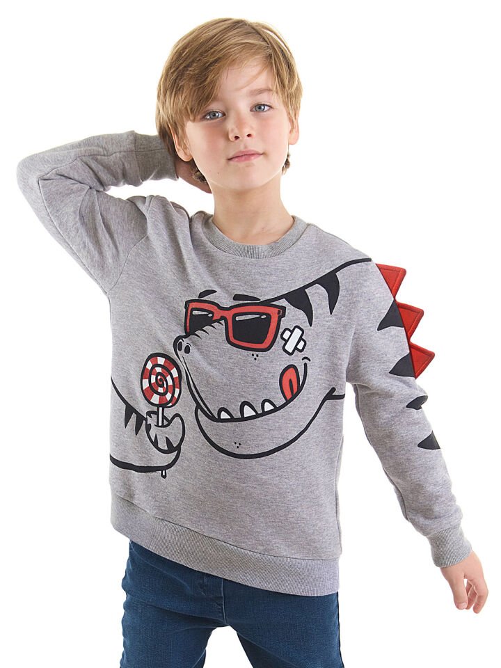 Şekerci Dinozor Erkek Çocuk Gri Sweatshirt