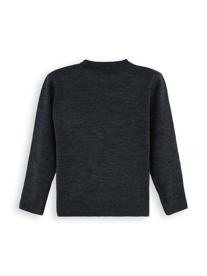 Hayvanlar Erkek Çocuk Triko Kazak