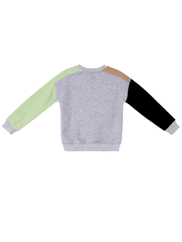 Rakun Ve Ayı Erkek Çocuk Sweatshirt 2 Y - Siyah