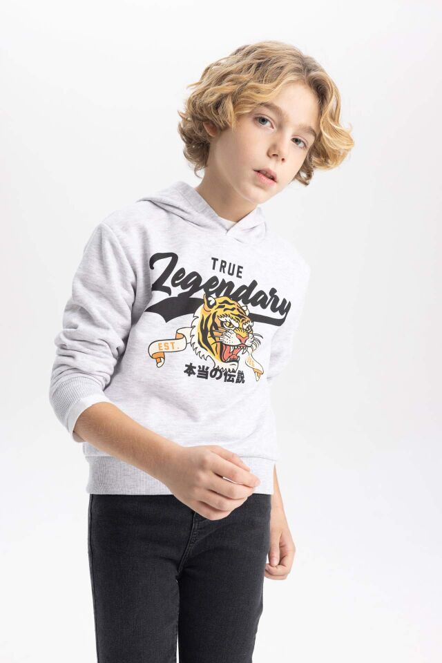 Erkek Çocuk Kapüşonlu Baskılı Sweatshirt