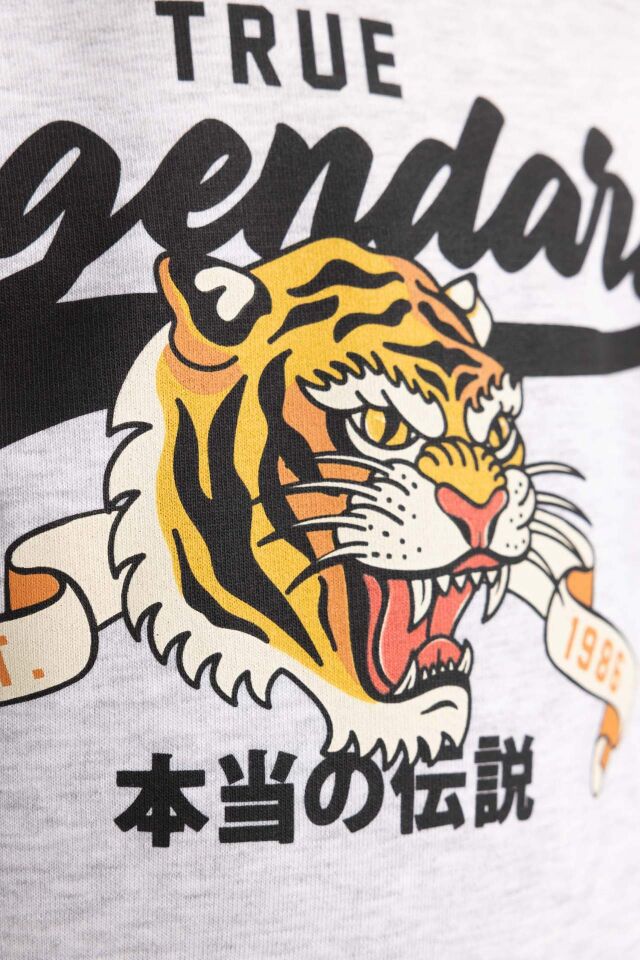 Erkek Çocuk Kapüşonlu Baskılı Sweatshirt 13/14 Yaş