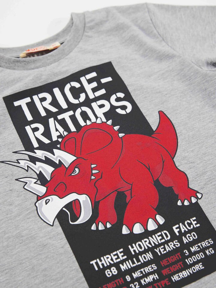 Triceratops Erkek Çocuk T-shirt Kapri Şort Takım 7 Y - Gri, Kırmızı