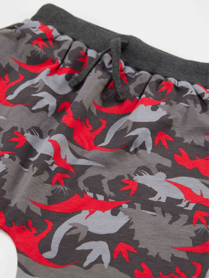 Triceratops Erkek Çocuk T-shirt Kapri Şort Takım 7 Y - Gri, Kırmızı