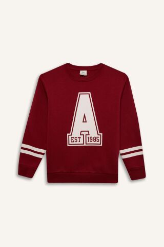 Erkek Çocuk Bisiklet Yaka Baskılı Sweatshirt