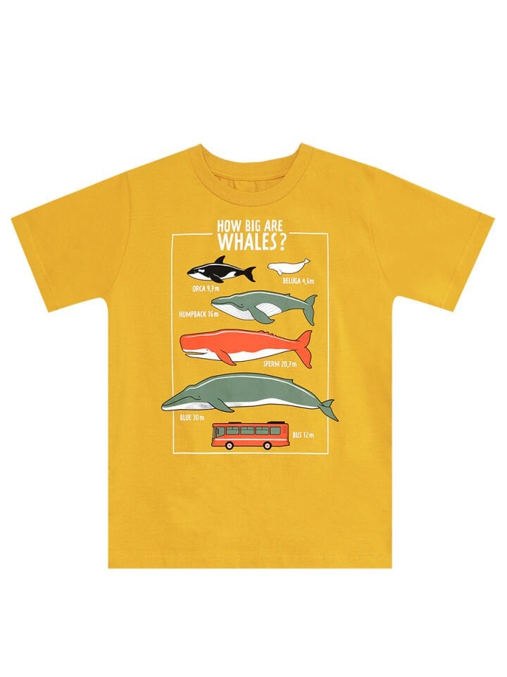 Big Whales Erkek Çocuk T-shirt Kapri Takım 10 Y - Hardal, Haki