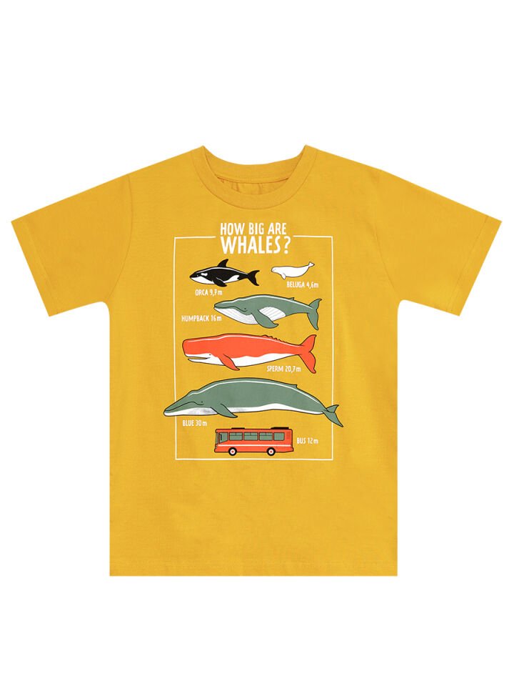 Big Whales Erkek Çocuk T-shirt Kapri Takım 7 Y - Hardal, Haki