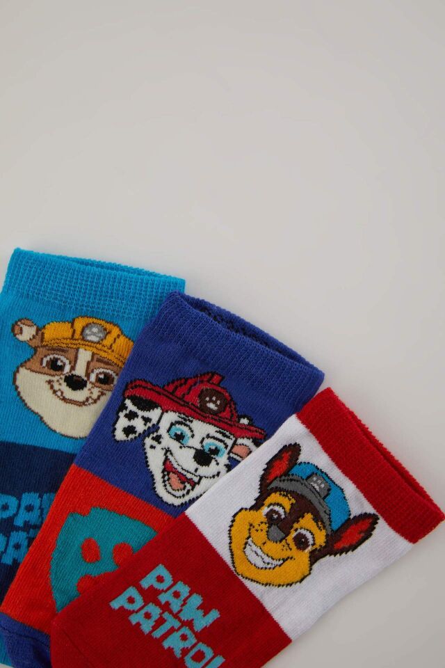 Erkek Çocuk Paw Patrol 3'lü Pamuklu Patik Çorap
