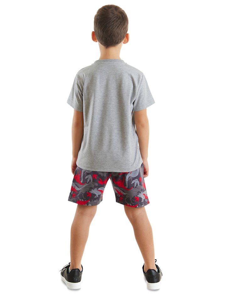 Triceratruck Erkek Çocuk T-shirt  Şort Takım 3 Y - Gri